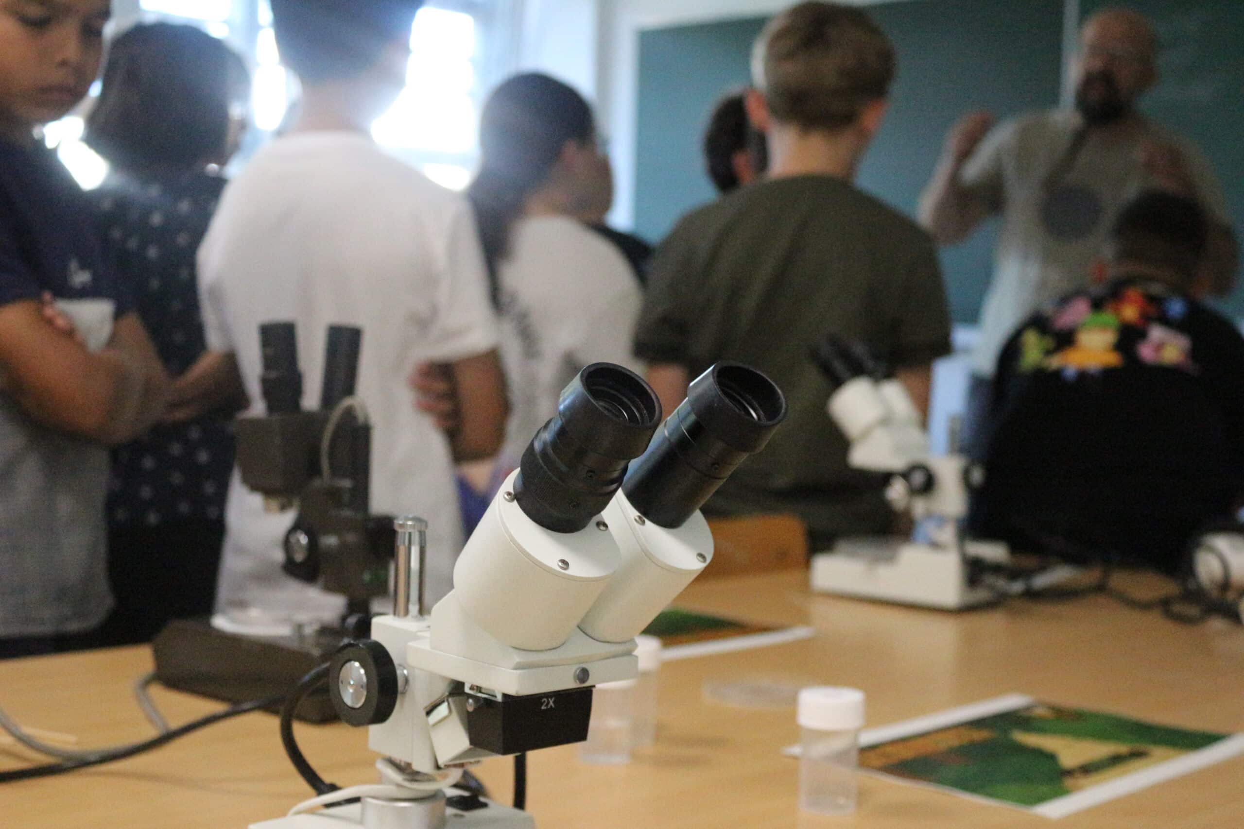 biodiversite cm1