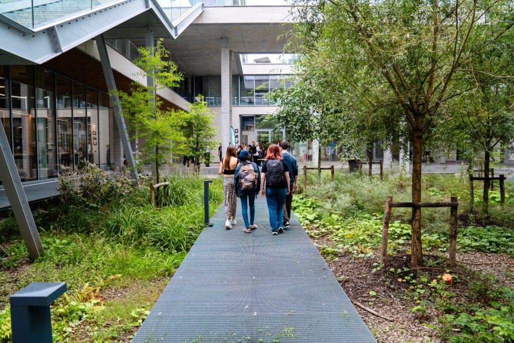 EDN exterieur jardin